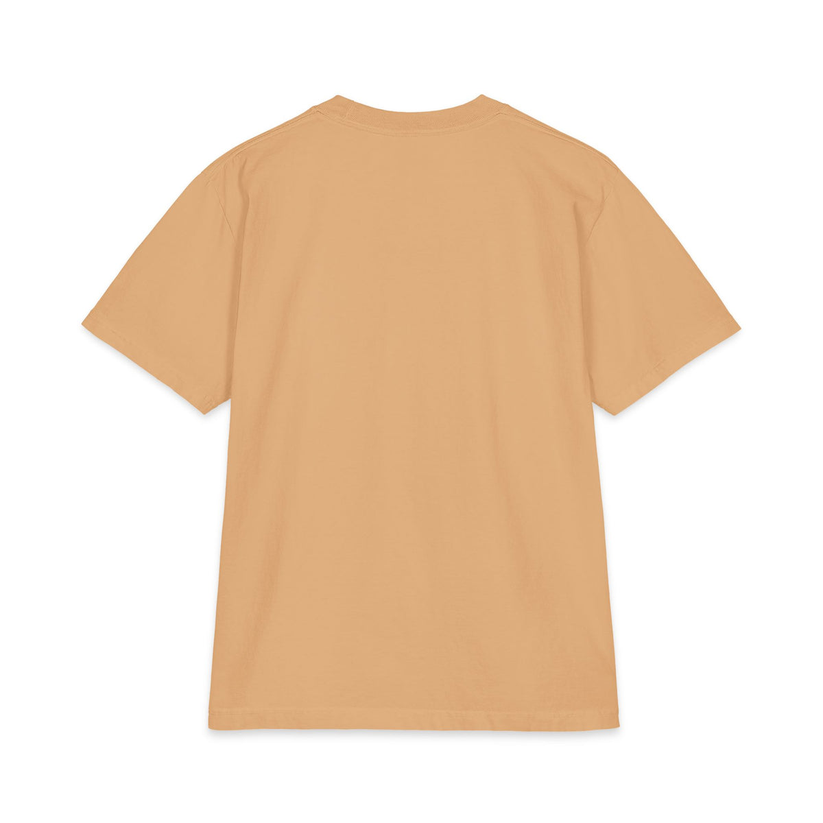 Jesus Crown of Thorns Graphic T-Shirt